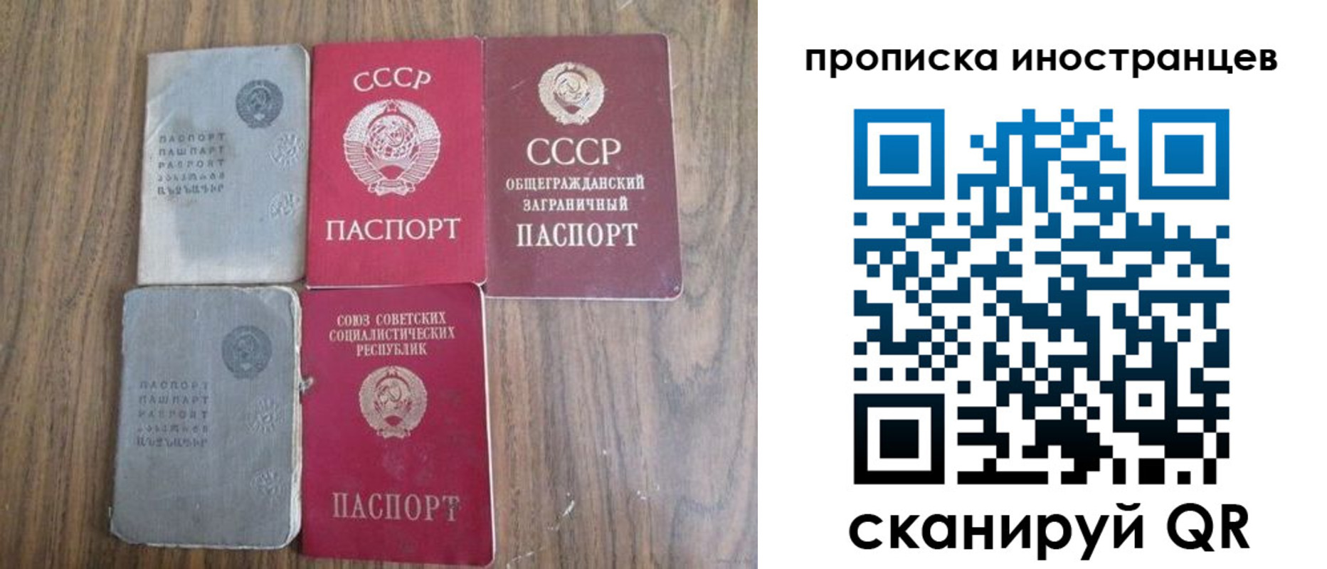 прописка поиск в Волхове
